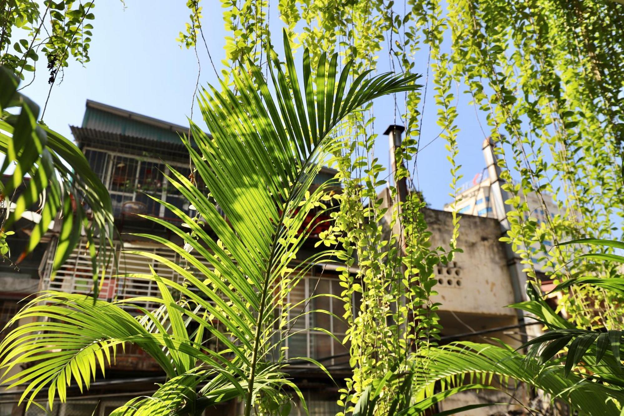The Garden House Apartman Hanoi Kültér fotó