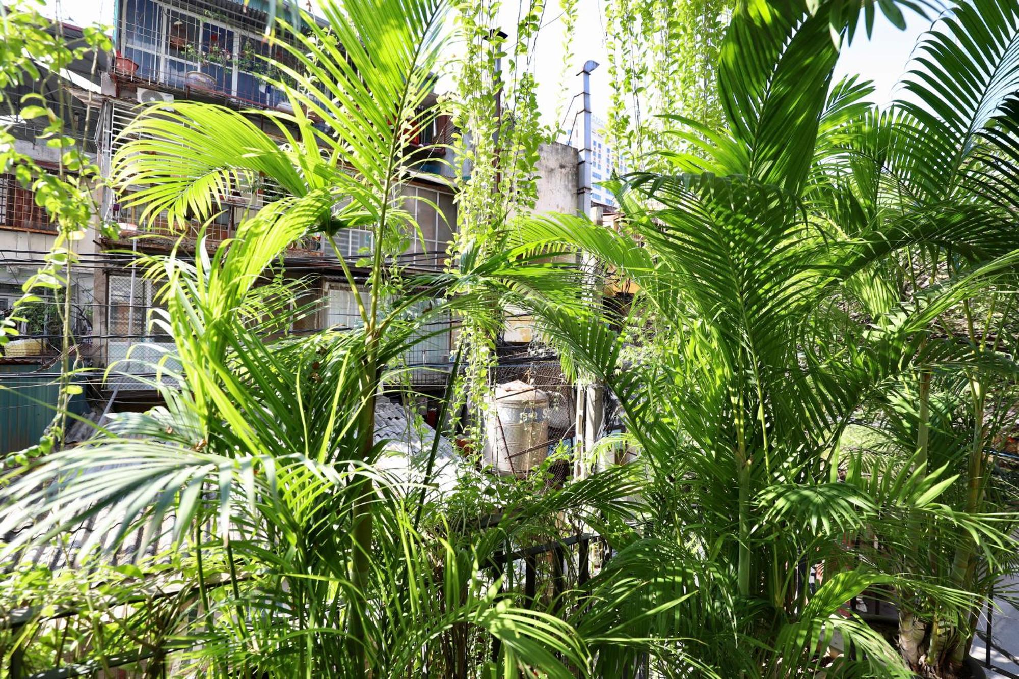 The Garden House Apartman Hanoi Kültér fotó